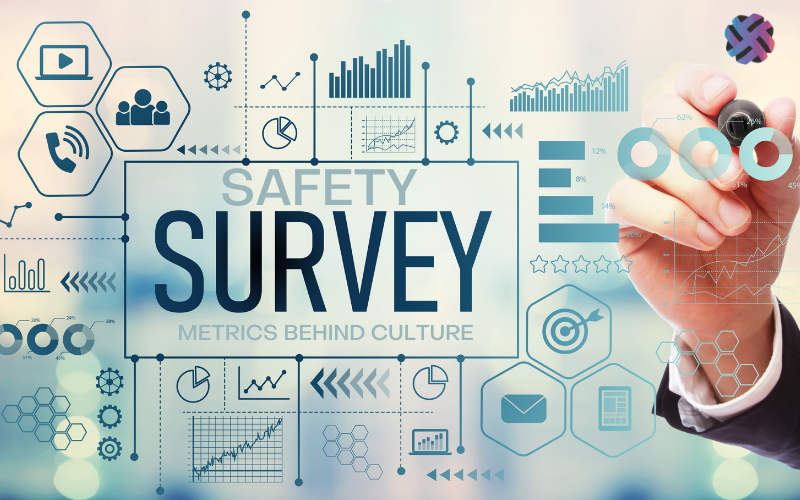 safety survey